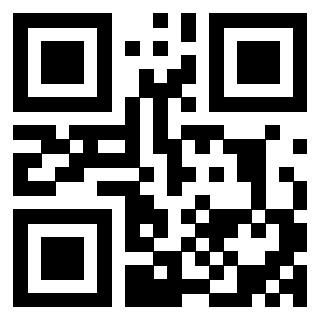 3405021691 - Immagine del QrCode