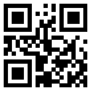 3405624133 - Immagine del QrCode