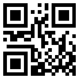 3406013304 - Immagine del QrCode