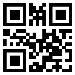 3406013313 QrCode associato