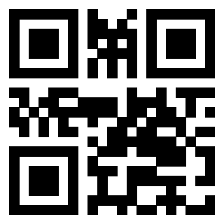 3406013356 - Immagine del QrCode