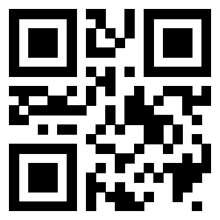 3406163100 Qr Code associato