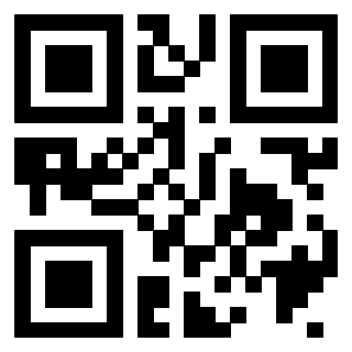 3406181309 - Immagine del QrCode associato