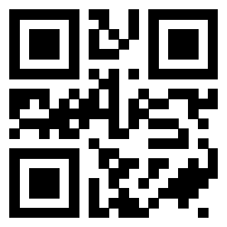 3406241243 - Immagine del QrCode