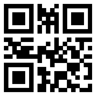 3406309100 - Immagine del QrCode associato