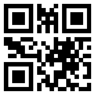 3406311915 - Immagine del QrCode