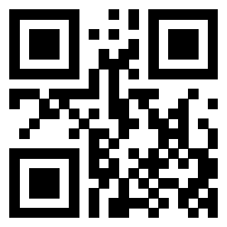 3406704309 - Immagine del QrCode