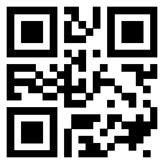 QrCode di 3406738333