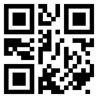 3407600306 - Immagine del QrCode