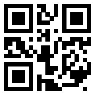 3408100787 - Immagine del QrCode