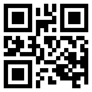 3408100919 - Immagine del QrCode