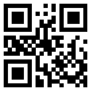 QrCode di 3408101333