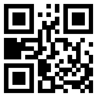 3408210295 Qr Code associato