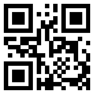 3408333810 QrCode associato