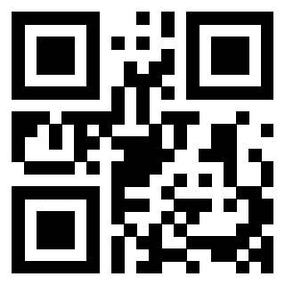 QrCode di 3408333965