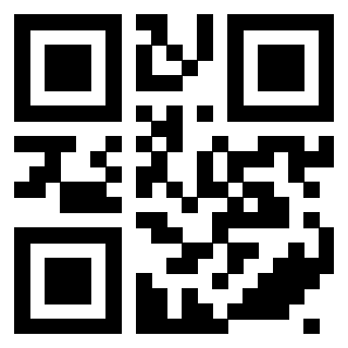 QrCode di 3408849769