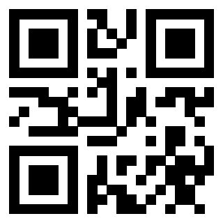 3910111733 - Immagine del QrCode associato