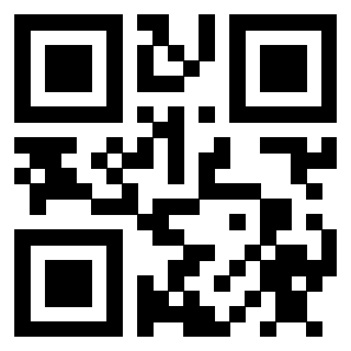 Il Qr Code di 3910112402