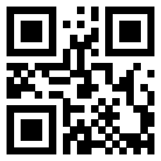 3910133521 - Immagine del QrCode associato