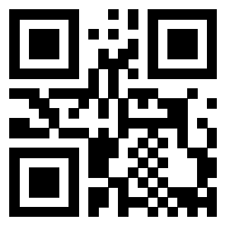 3910133660 QrCode associato