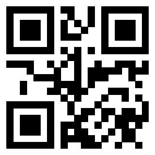 3910133821 Qr Code associato