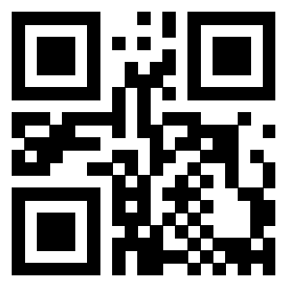 Il Qr Code di 3910133822