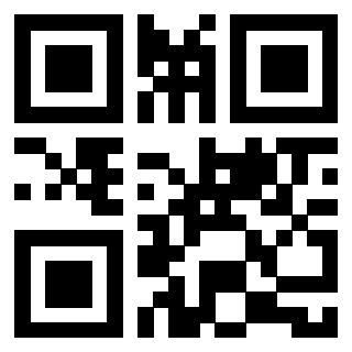 3910133920 Qr Code associato