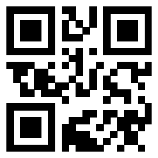 3910134063 Qr Code associato