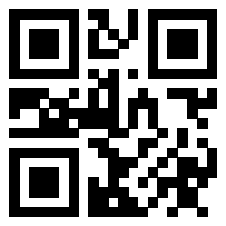 3910202558 - Immagine del QrCode associato