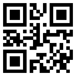 3910202896 Qr Code associato
