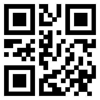 3910203031 - Immagine del QrCode