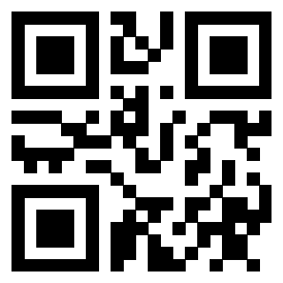 3910203033 QrCode associato