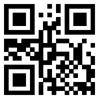 3910203172 - Immagine del QrCode associato