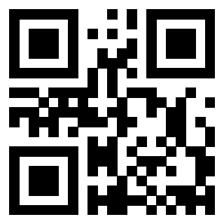 3910203295 QrCode associato