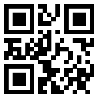 Il Qr Code di 3910203333