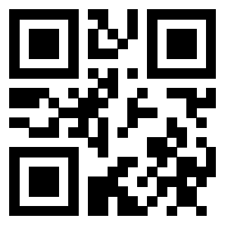 Il Qr Code di 3910222336