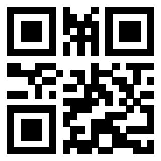 Il Qr Code di 3910250029