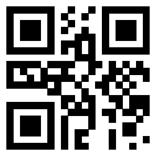 3910256691 Qr Code associato