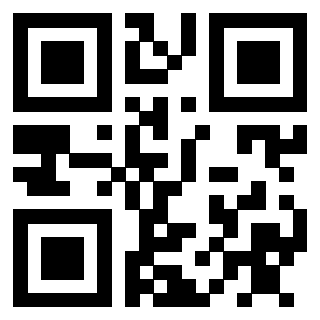 3910256916 - Immagine del QrCode associato