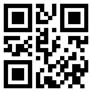 3910256951 QrCode associato