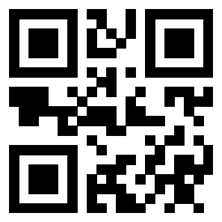 3910256973 Qr Code associato