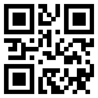 Il Qr Code di 3910293013