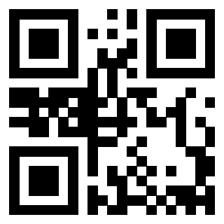 QrCode di 3910293304