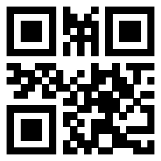 Il Qr Code di 3910293317