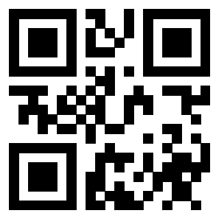 3910360513 QrCode associato