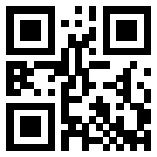 Il Qr Code di 3910462433
