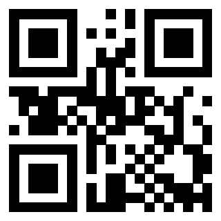 Il Qr Code di 3910510088