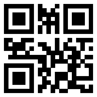 3910510160 - Immagine del Qr Code associato