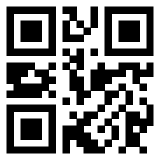 Il Qr Code di 3910600810