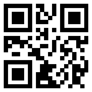 3910601062 Qr Code associato
